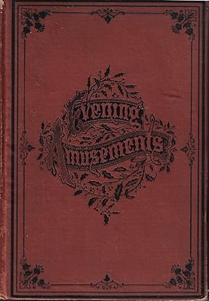 Evening Amusements: or Merry Hours for Merry People Vol. V. William's Household Series