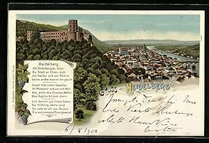 Lithographie Heidelberg / Neckar, Ortsansicht aus der Vogelschau