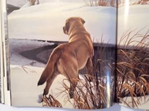 Seller image for Robert Bateman: Natural Worlds. for sale by J. W. Mah