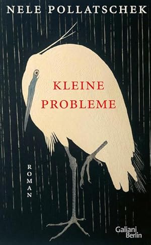 Bild des Verkufers fr Kleine Probleme: Roman zum Verkauf von Rheinberg-Buch Andreas Meier eK