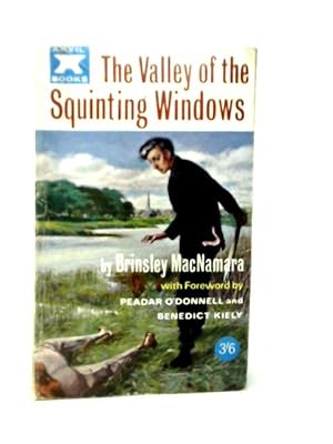 Seller image for The Valley of the Squinting Windows for sale by World of Rare Books