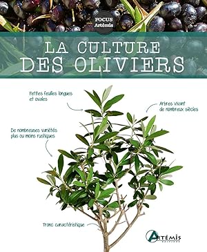 Bild des Verkufers fr La culture des oliviers zum Verkauf von Dmons et Merveilles
