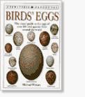 Bild des Verkufers fr Birds Eggs (Eyewitness Handbooks) zum Verkauf von WeBuyBooks