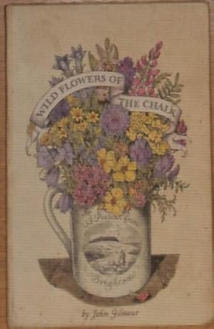 Bild des Verkufers fr Wild Flowers of the Chalk zum Verkauf von WeBuyBooks 2