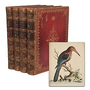 A Natural History of Uncommon Birds - Gleanings of Natural History Exhibiting Figures of Quadrupe...
