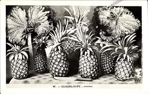 Ansichtskarte / Postkarte Guadeloupe, Ananas