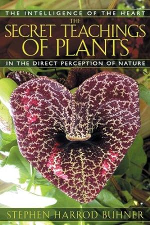Seller image for The Secret Teachings of Plants: The Intelligence of the Heart in the Direct Perception of Nature for sale by WeBuyBooks 2
