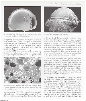 Seller image for Phosphatic Porcelain from The Vauxhall Site. An original article from the English Ceramic Circle, 2002. for sale by Cosmo Books