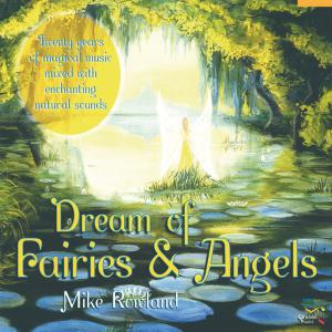 Bild des Verkufers fr Dream Of Fairies And Angels zum Verkauf von moluna