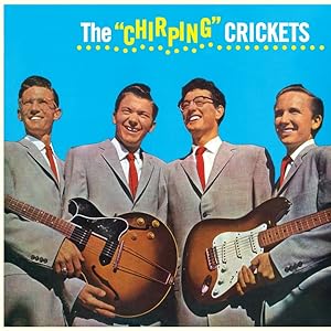 Immagine del venditore per The Chirping Crickets (Limited 180g Farbiges Vinyl) venduto da moluna