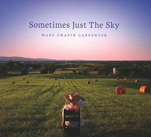 Seller image for Sometimes Just the Sky for sale by moluna