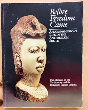 Seller image for BEFORE FREEDOM CAME AFRICAN-AMERICAN LIFE IN THE ANTEBELLUM SOUTH for sale by Happyfish Books