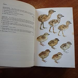 Bild des Verkufers fr A Field Guide to Nests, Eggs, Nestlings of British and European Birds zum Verkauf von Creaking Shelves Books
