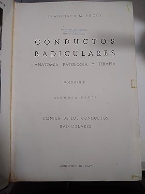 Image du vendeur pour Conductos radiculares. anatomia, patologia y terapia Volumen II mis en vente par SoferBooks