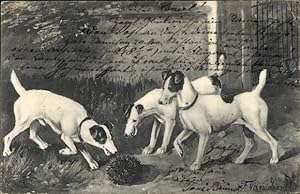 Litho Drei Hunde und ein Igel