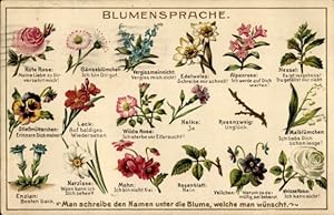 Ansichtskarte / Postkarte Blumensprache, Rote Rose, Gänseblümchen, Vergissmeinnicht, Edelweiß, Ne...