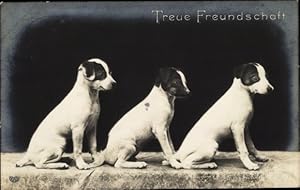 Ansichtskarte / Postkarte Treue Freundschaft, Drei junge Hunde