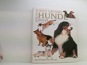 Bild des Verkufers fr Mein grosses Hundebuch zum Verkauf von Book Broker