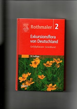 Imagen del vendedor de Rothmaler, Exkursionsflora von Deutschland; Teil 2 - Gefpflanzen - Grundband a la venta por sonntago DE