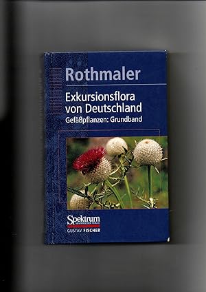 Seller image for Rothmaler, Exkursionsflora von Deutschland Bd. 2 Gefpflanzen / 18.Auflage for sale by sonntago DE