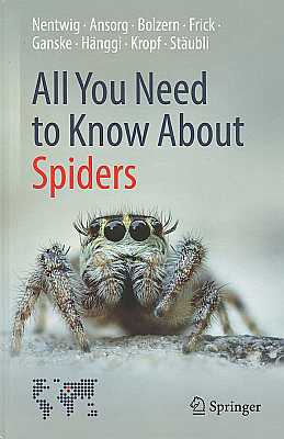 Seller image for All You Need to Know About Spiders for sale by ConchBooks