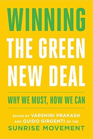 Bild des Verkufers fr Winning the Green New Deal: Why We Must, How We Can zum Verkauf von WeBuyBooks