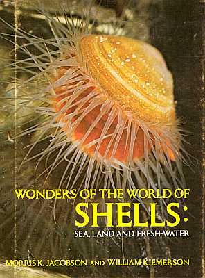 Bild des Verkufers fr Wonders of the World of Shells: Sea, Land and Fresh-Water zum Verkauf von ConchBooks