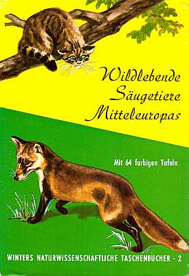Imagen del vendedor de Wildlebende Sugetiere Mitteleuropas a la venta por ConchBooks