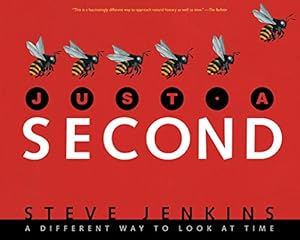 Immagine del venditore per Just a Second: A Different Way to Look at Time venduto da WeBuyBooks