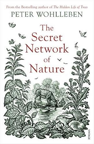 Bild des Verkufers fr The Secret Network of Nature: The Delicate Balance of All Living Things zum Verkauf von WeBuyBooks