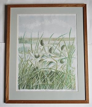 Alan Grabham, Sea Holly, Lithograph print, number 6 of 10, signed, c1990, framed