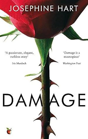 Seller image for Damage: INSPIRATION FOR THE NETFLIX SERIES OBSESSION for sale by WeBuyBooks