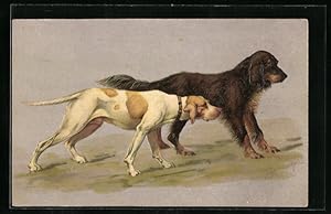 Seller image for Ansichtskarte zwei Jagdhunde nehmen die Fhrte auf for sale by Bartko-Reher