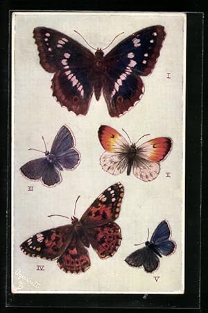 Bild des Verkufers fr Ansichtskarte Schmetterlinge mit blauer, weisser und roter Frbung, Tupfen, British Butterflies zum Verkauf von Bartko-Reher