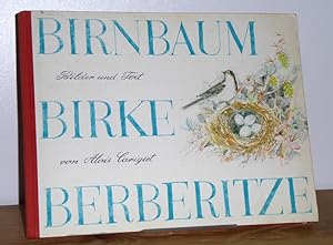 Birnbaum, Birke, Berberitze. Eine Geschichte aus der Bündner Bergen.