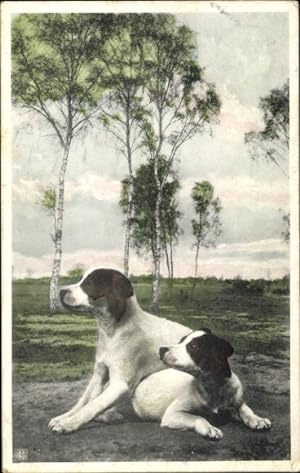 Ansichtskarte / Postkarte Zwei braun-weiße Hunde, Birken