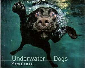 Seller image for Underwater Dogs. Illustrated book. for sale by Leonardu