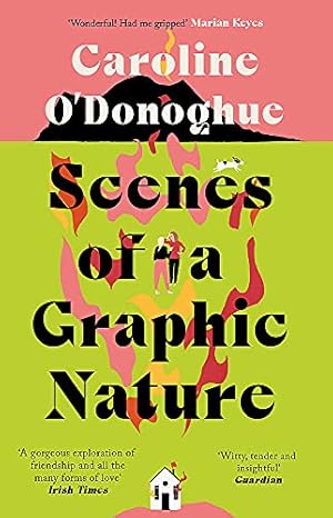 Seller image for Scenes of a Graphic Nature: 'A perfect page-turner' (Dolly Alderton) from the bestselling author of The Rachel Incident for sale by WeBuyBooks