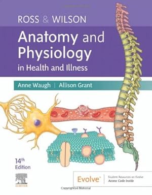 Seller image for Ross & Wilson Anatomy and Physiology in Health and Illness for sale by WeBuyBooks