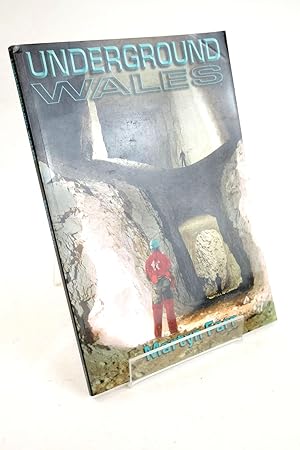 Image du vendeur pour UNDERGROUND WALES mis en vente par Stella & Rose's Books, PBFA