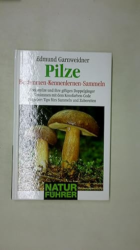 PILZE - BESTIMMEN KENNENLERNEN SAMMELN.