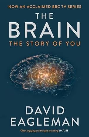 Seller image for The Brain: The Story of You for sale by WeBuyBooks