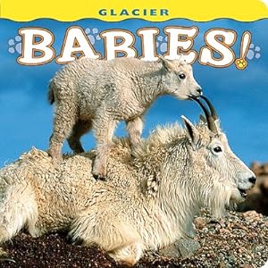Image du vendeur pour Glacier Babies! (Board Book) mis en vente par BargainBookStores