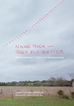 Bild des Verkufers fr Name Them - They Fly Better : Pat Hammond's Theory of Aerodynamics zum Verkauf von GreatBookPrices