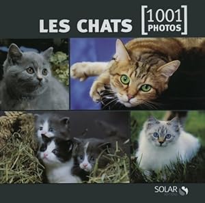 Les chats en 1001 photos NE - Collectif