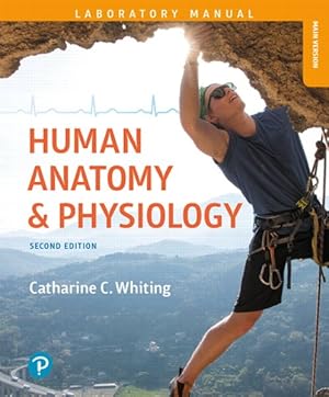 Image du vendeur pour Human Anatomy & Physiology mis en vente par GreatBookPricesUK