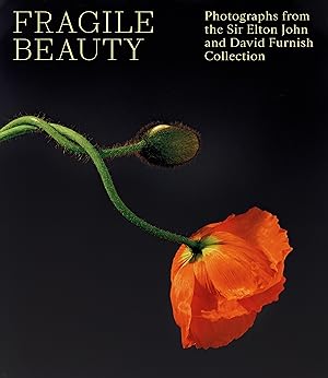 Seller image for Fragile Beauty for sale by moluna