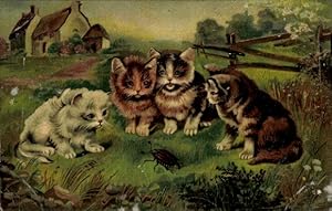 Künstler Ansichtskarte / Postkarte Vier junge Hauskatzen beobachten einen Maikäfer, Kätzchen, Rek...