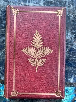 British Ferns and their Allies. An Abridgement of "The Popular History of British Ferns" and comp...