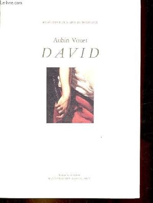 Aubin Vouet David - Musée des beaux-arts de Bordeaux - Collection l'oeuvre, le miroir.